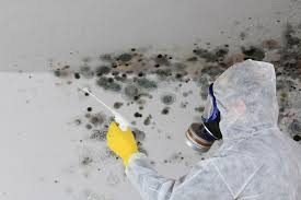 Mold Odor Removal Services in Leakesville, MS